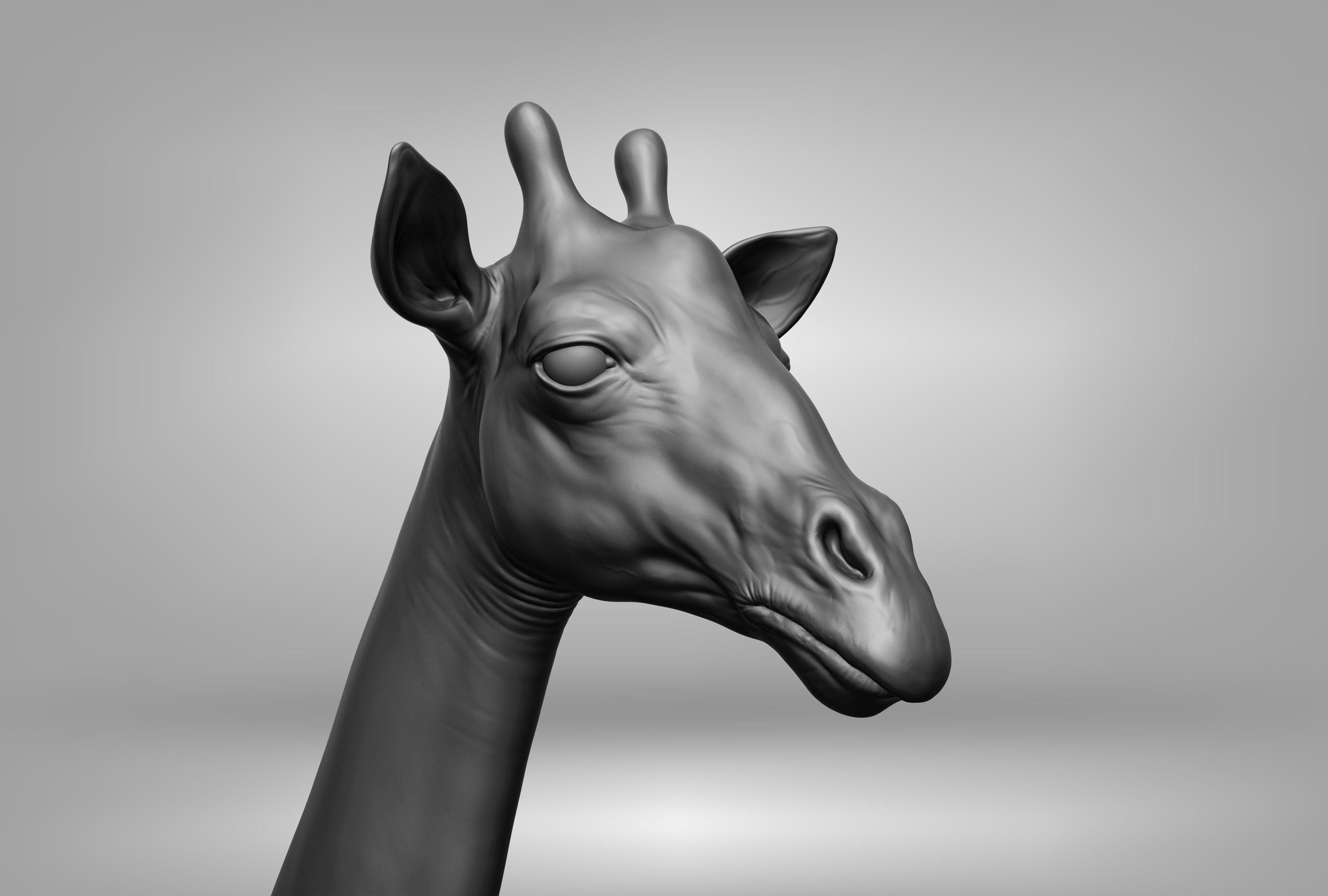 Wild animal collection 3D model_55