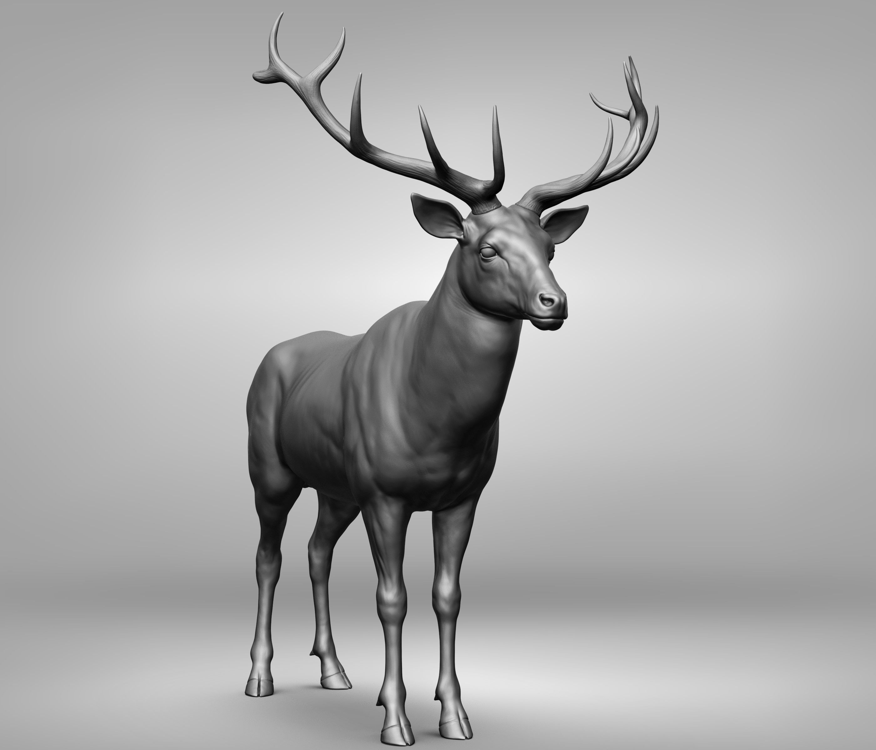 Wild animal collection 3D model_128