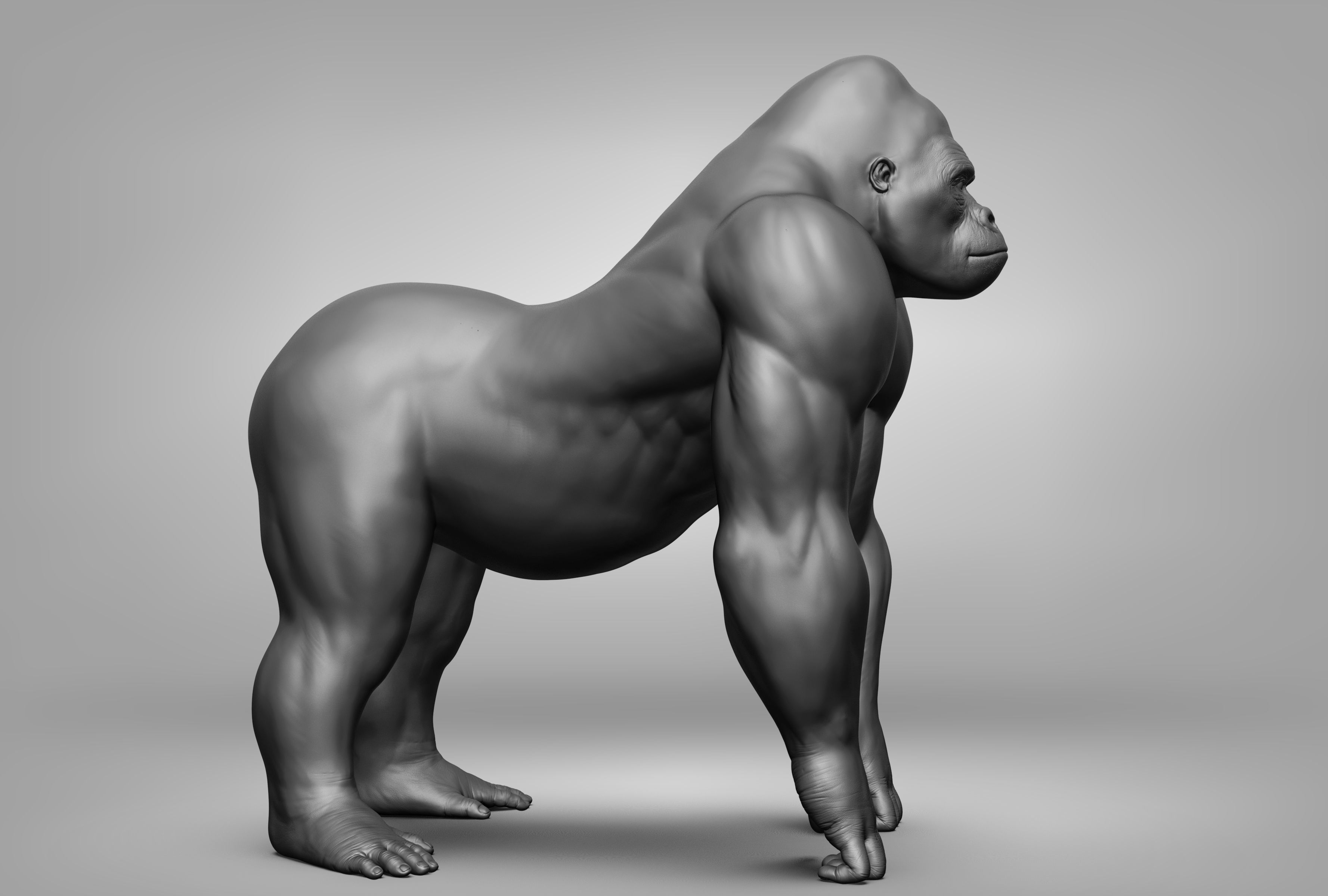 Wild animal collection 3D model_93