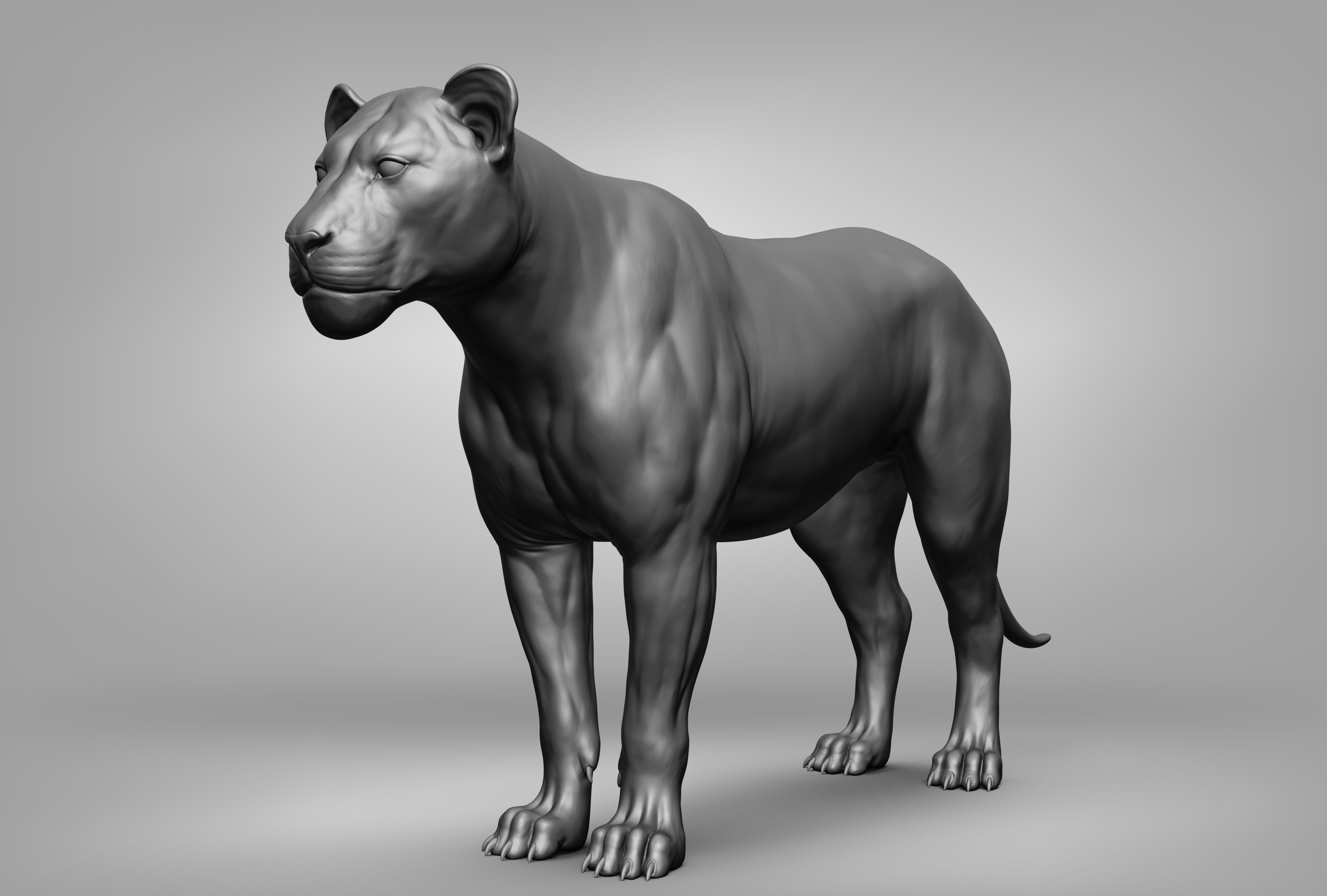Wild animal collection 3D model_31