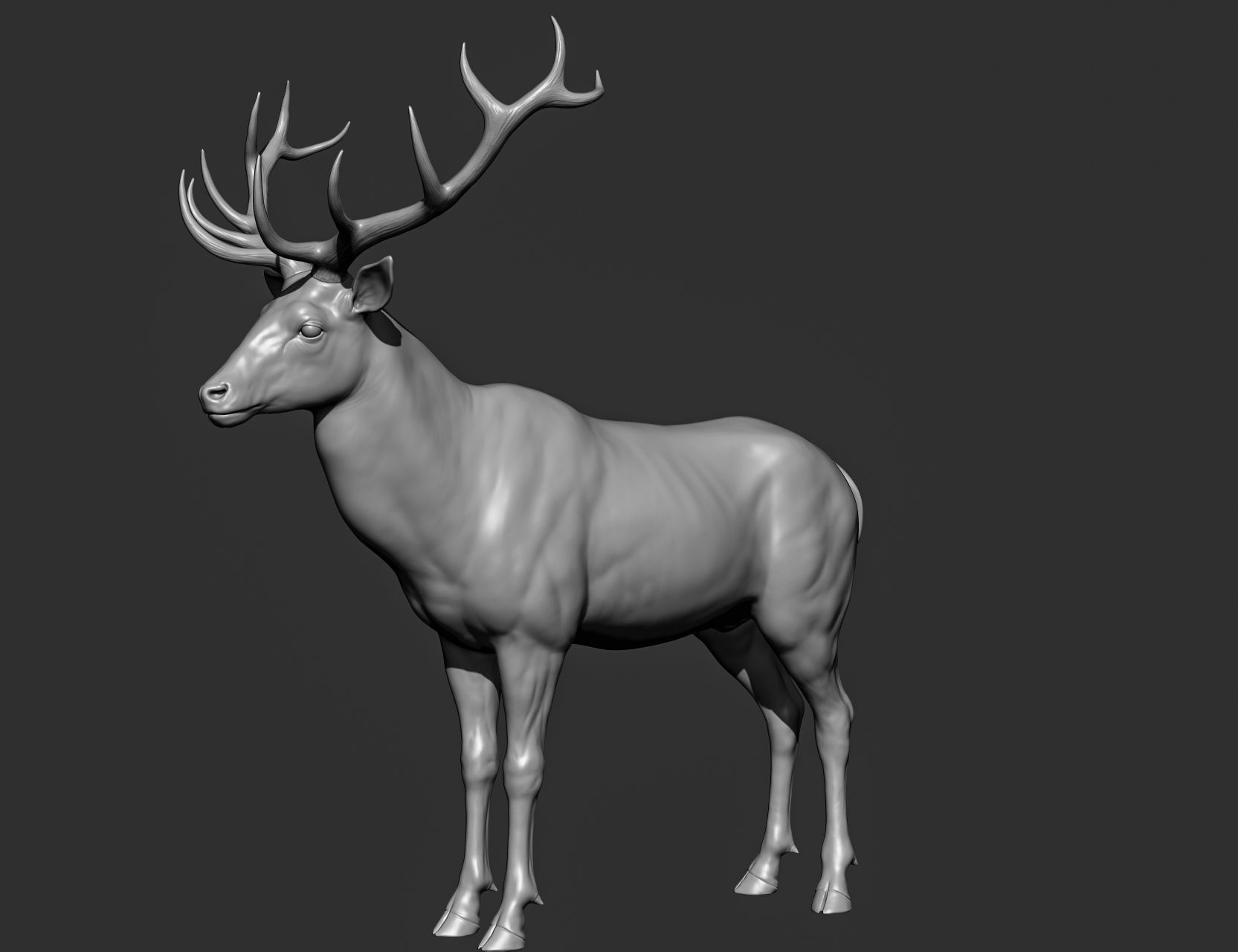 Wild animal collection 3D model_137