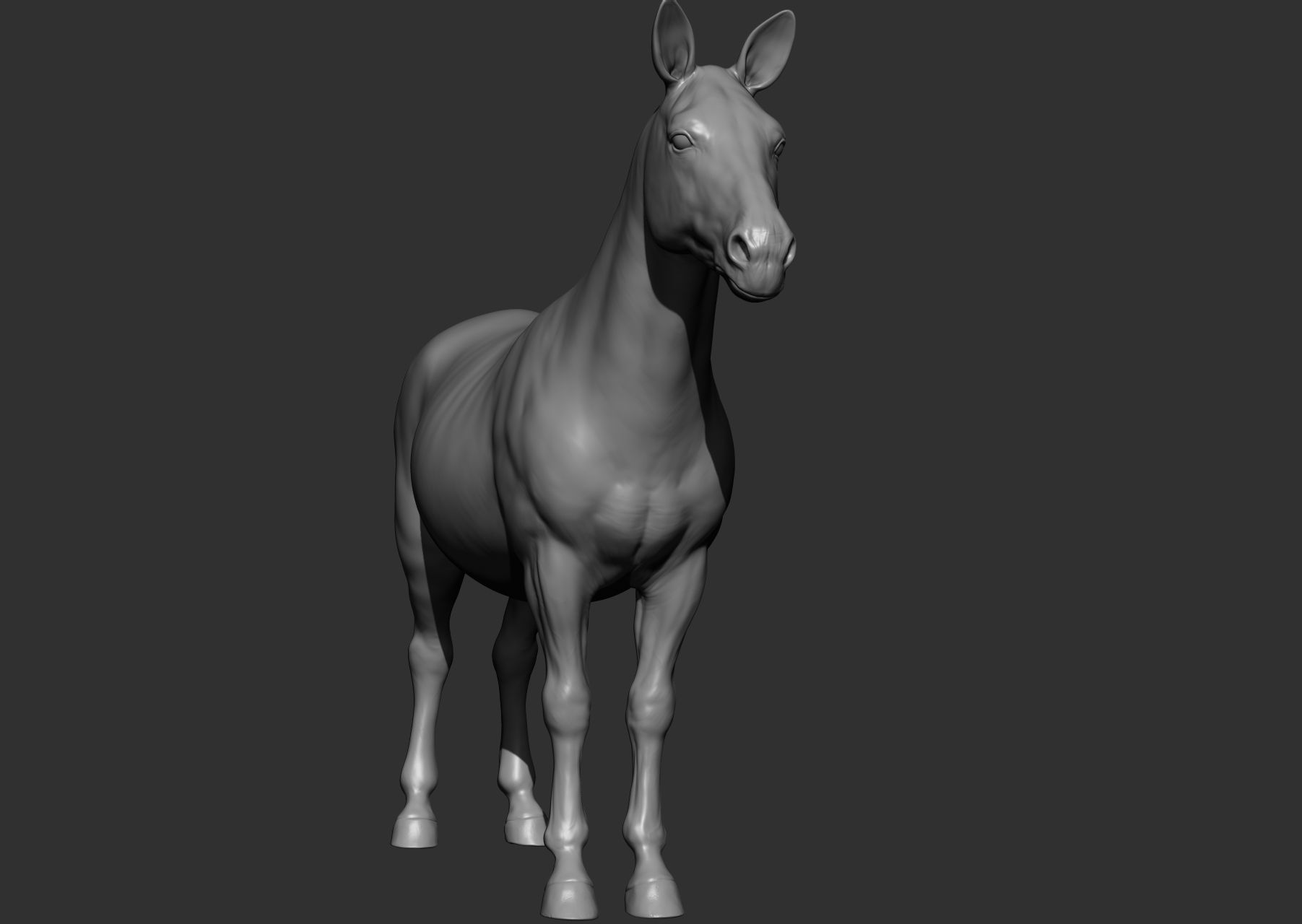 Wild animal collection 3D model_122