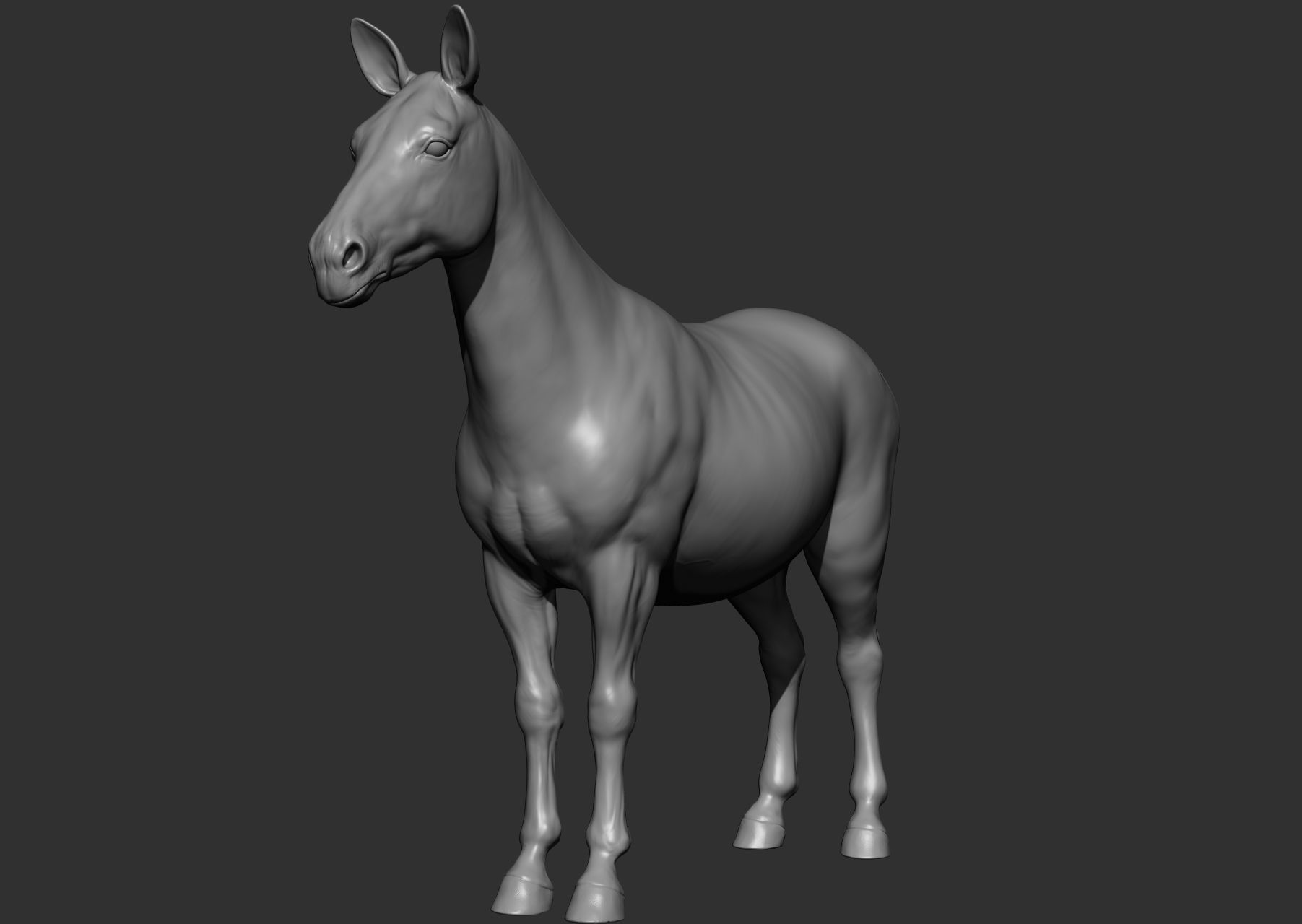 Wild animal collection 3D model_121