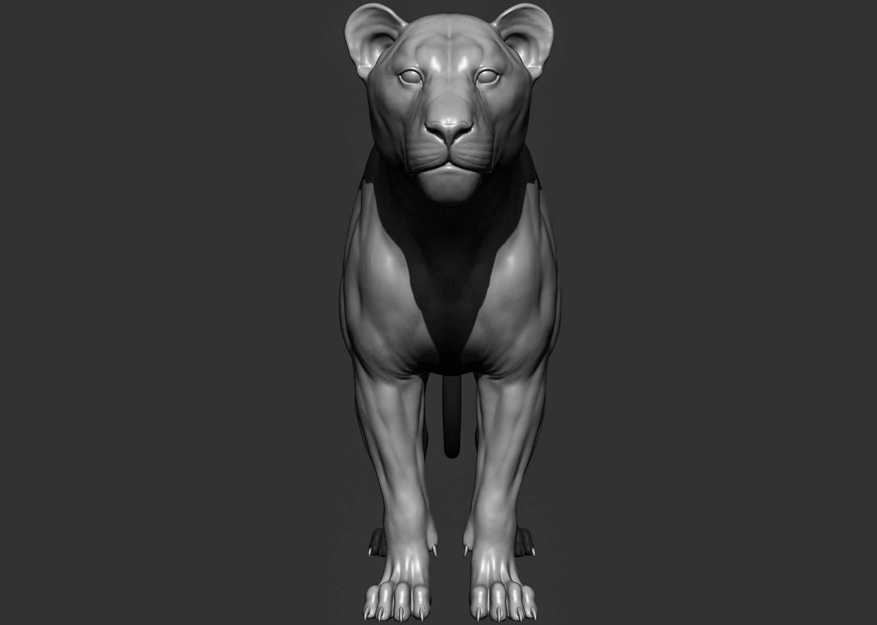 Wild animal collection 3D model_44