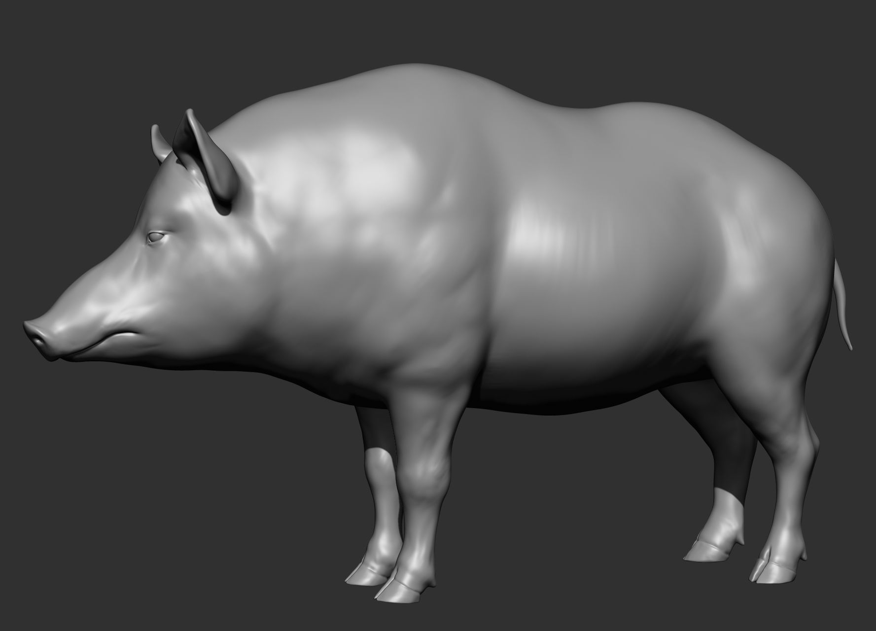 Wild animal collection 3D model_145