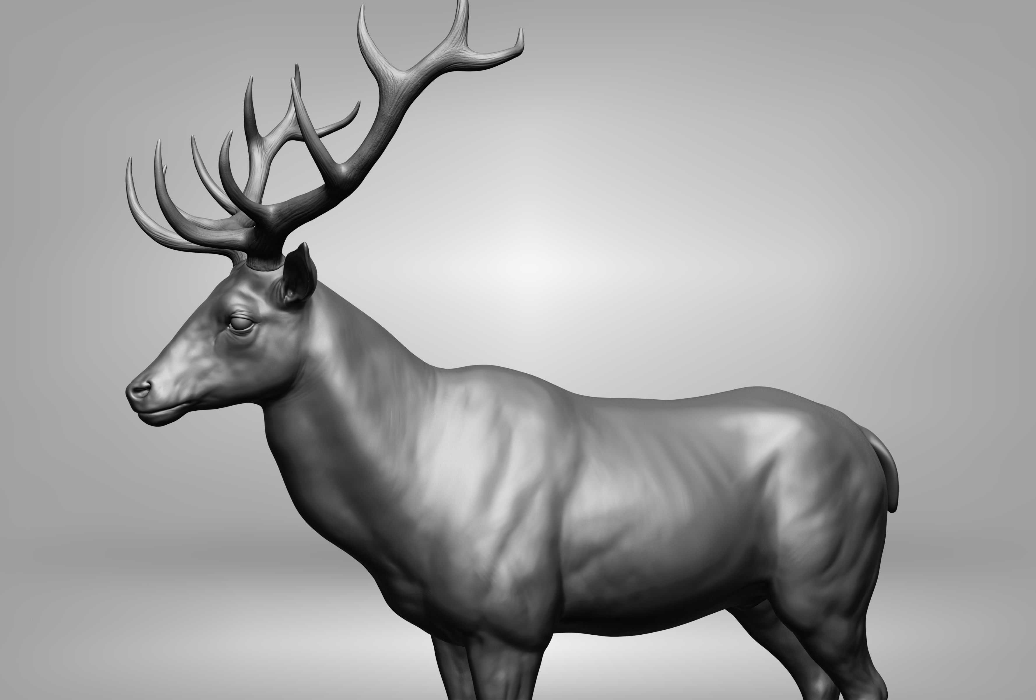 Wild animal collection 3D model_130
