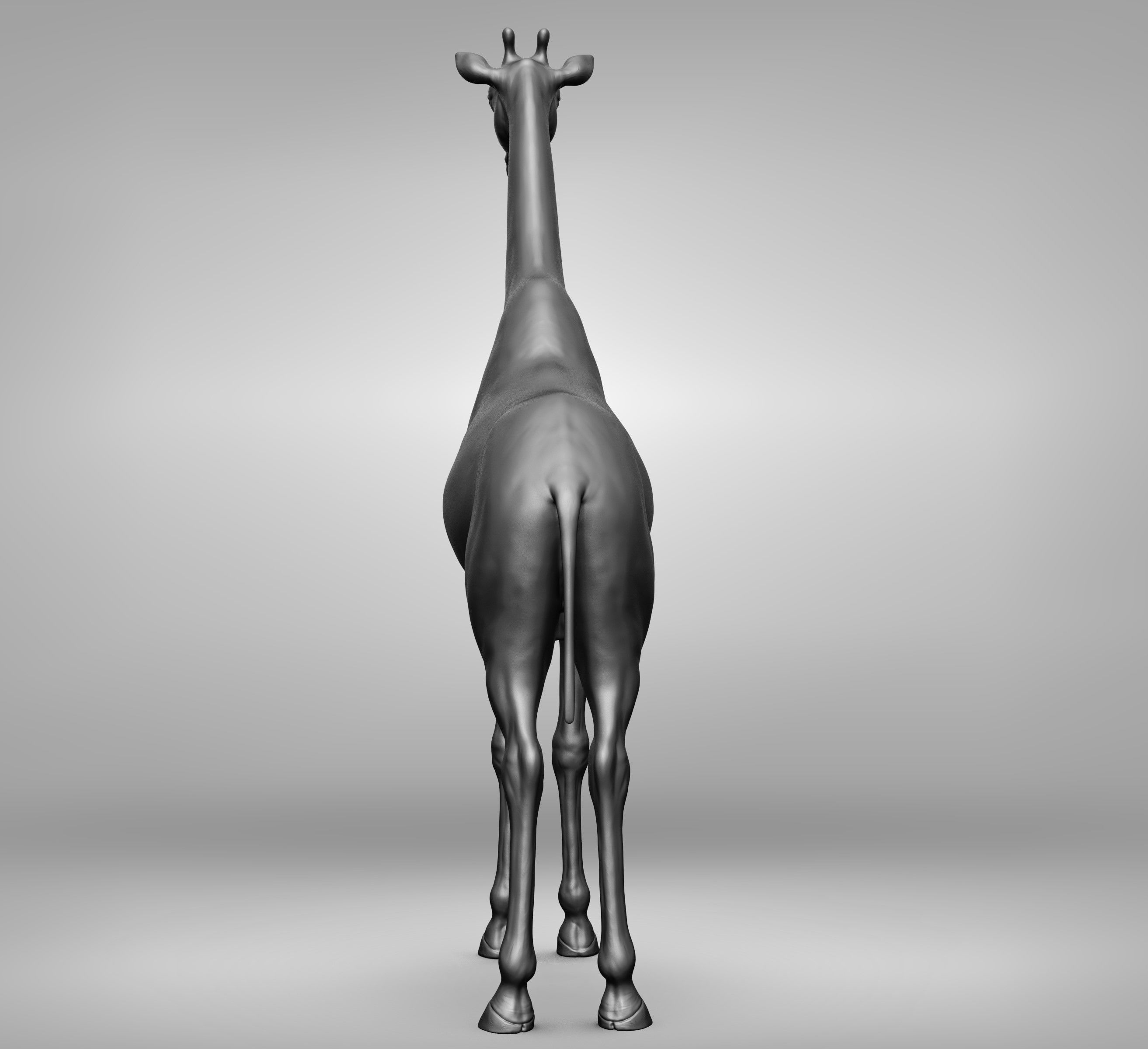 Wild animal collection 3D model_52