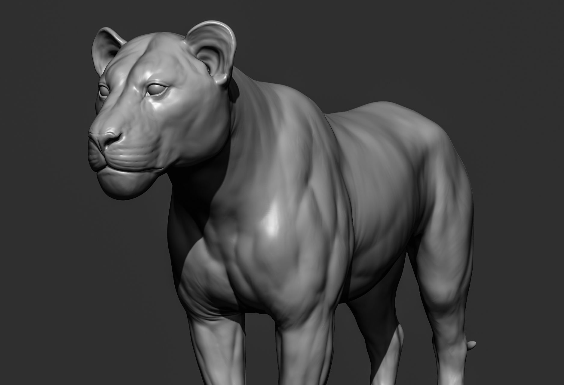 Wild animal collection 3D model_45