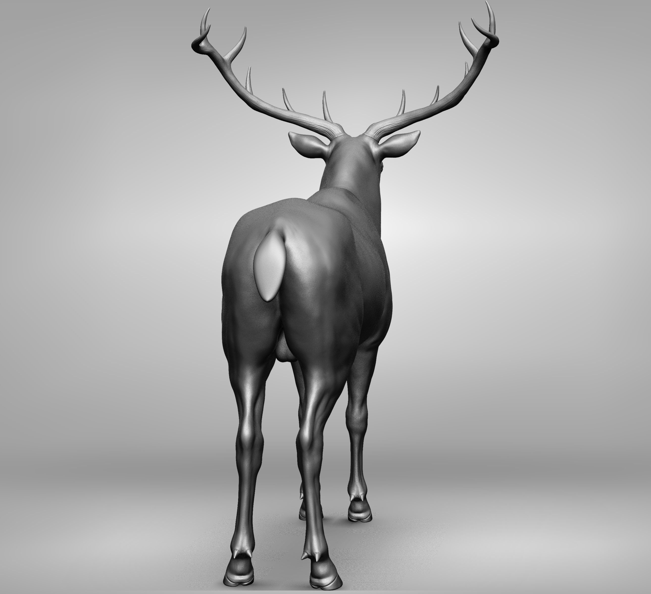 Wild animal collection 3D model_126