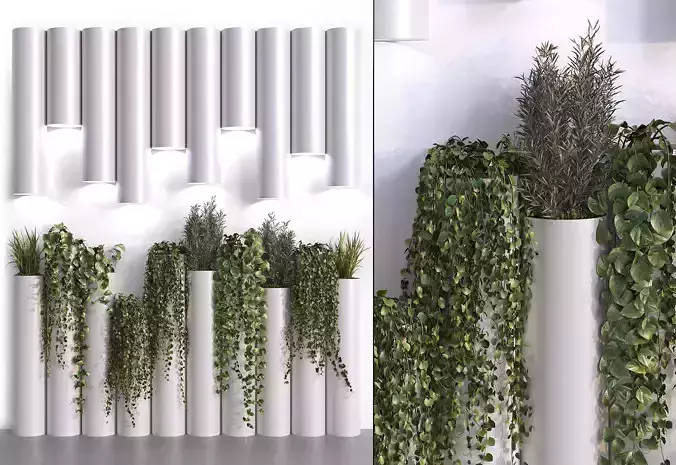 Decorative Plant Cylinders 3D model