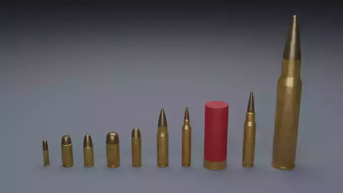 Common Bullet Types 3D model