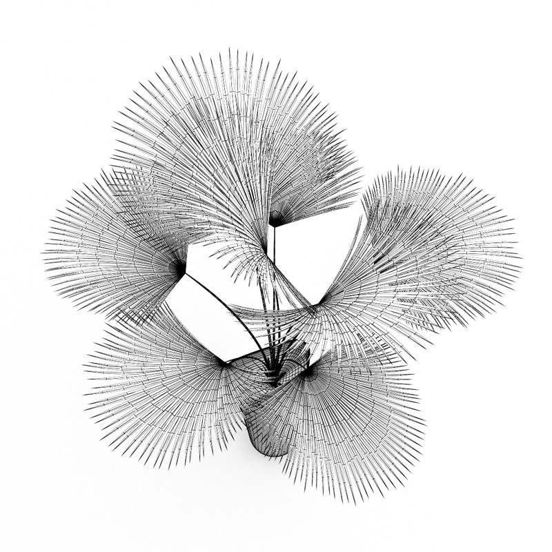 Palm Tree 3D model_3