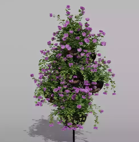 Palm Trees Pack 3d models 