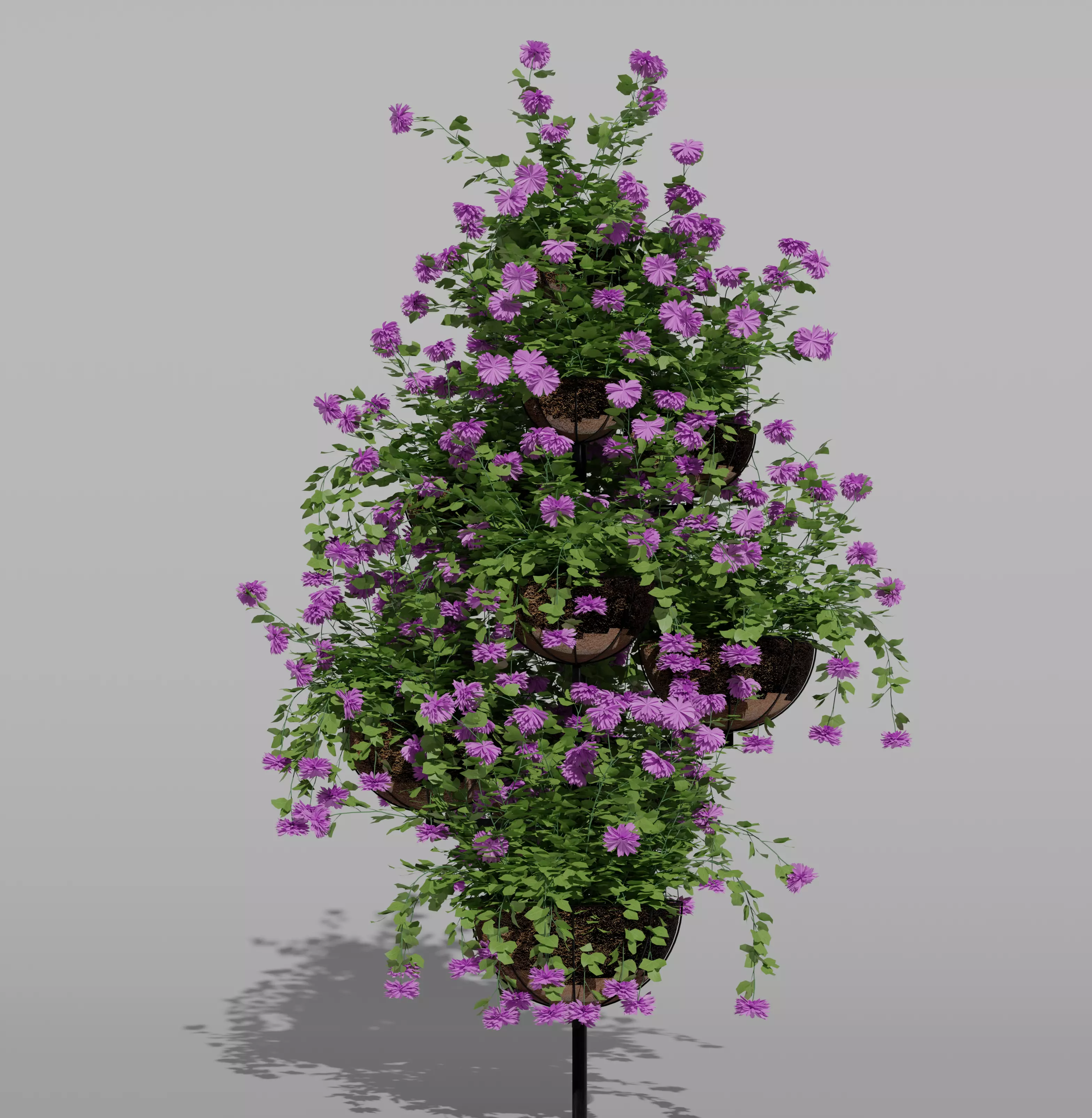 Palm Trees Pack 3d models  Low-poly 3D model_0