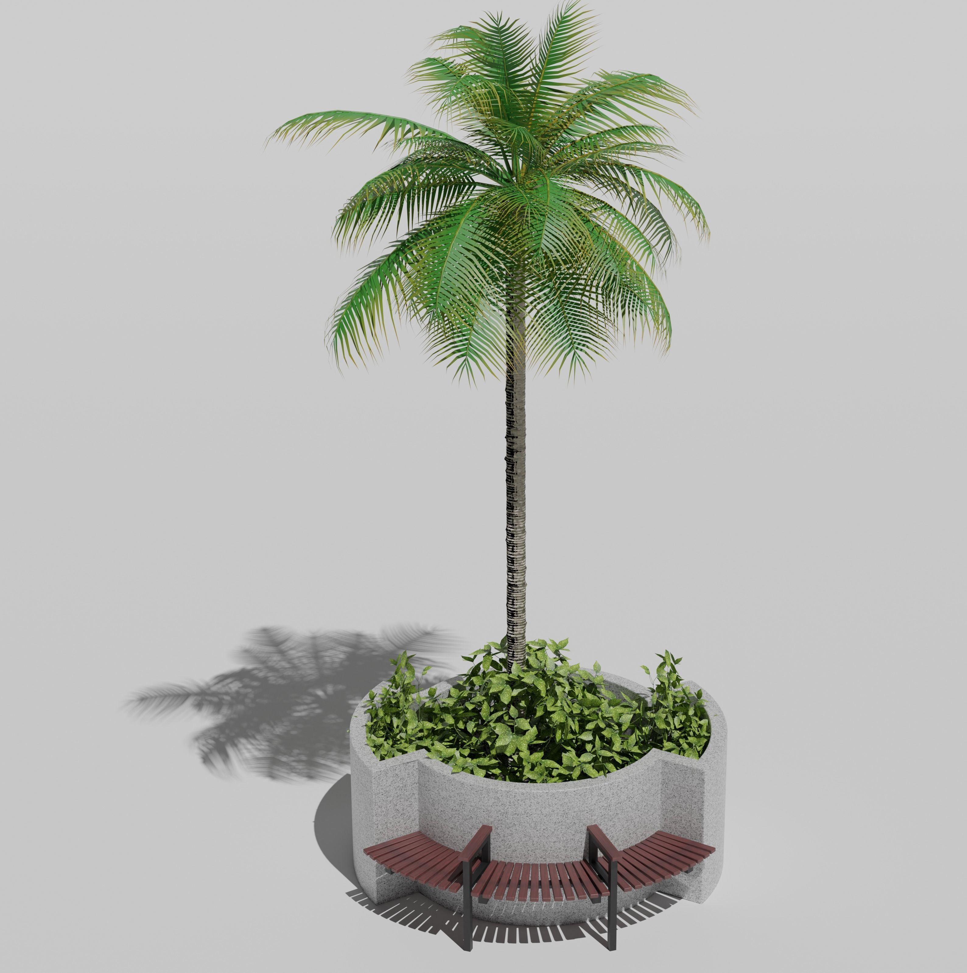 Palm Trees Pack 3d models  Low-poly 3D model_3