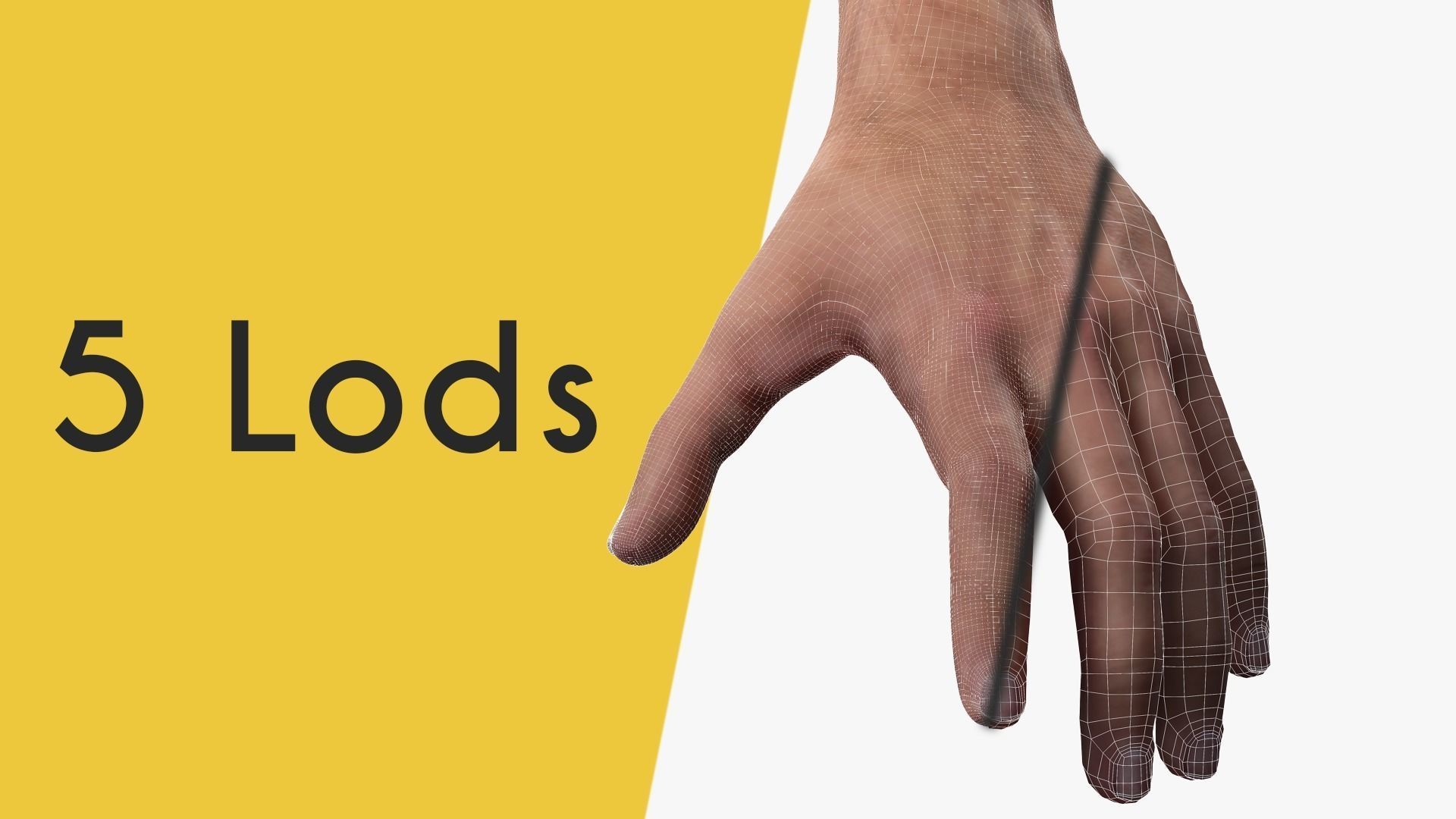 VR 4K Realistic Hands Multi-Skins Colors Rigged HQ Low-poly 3D model_3