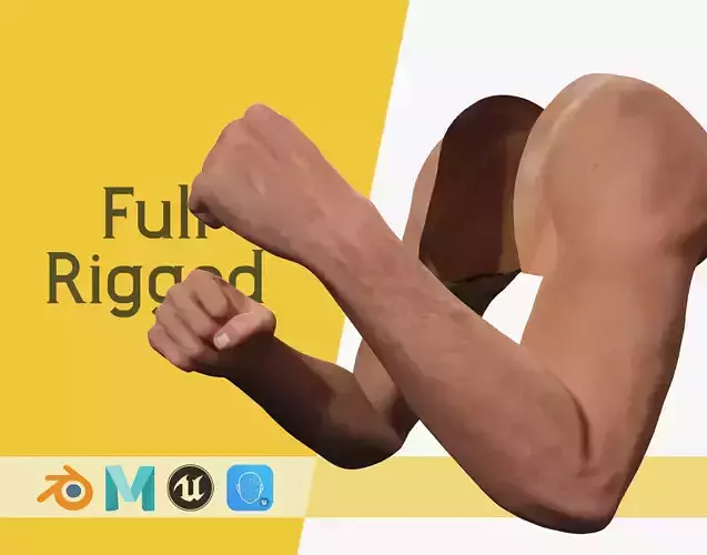 VR 4K Realistic Hands Multi-Skins Colors Rigged HQ Low-poly 3D model