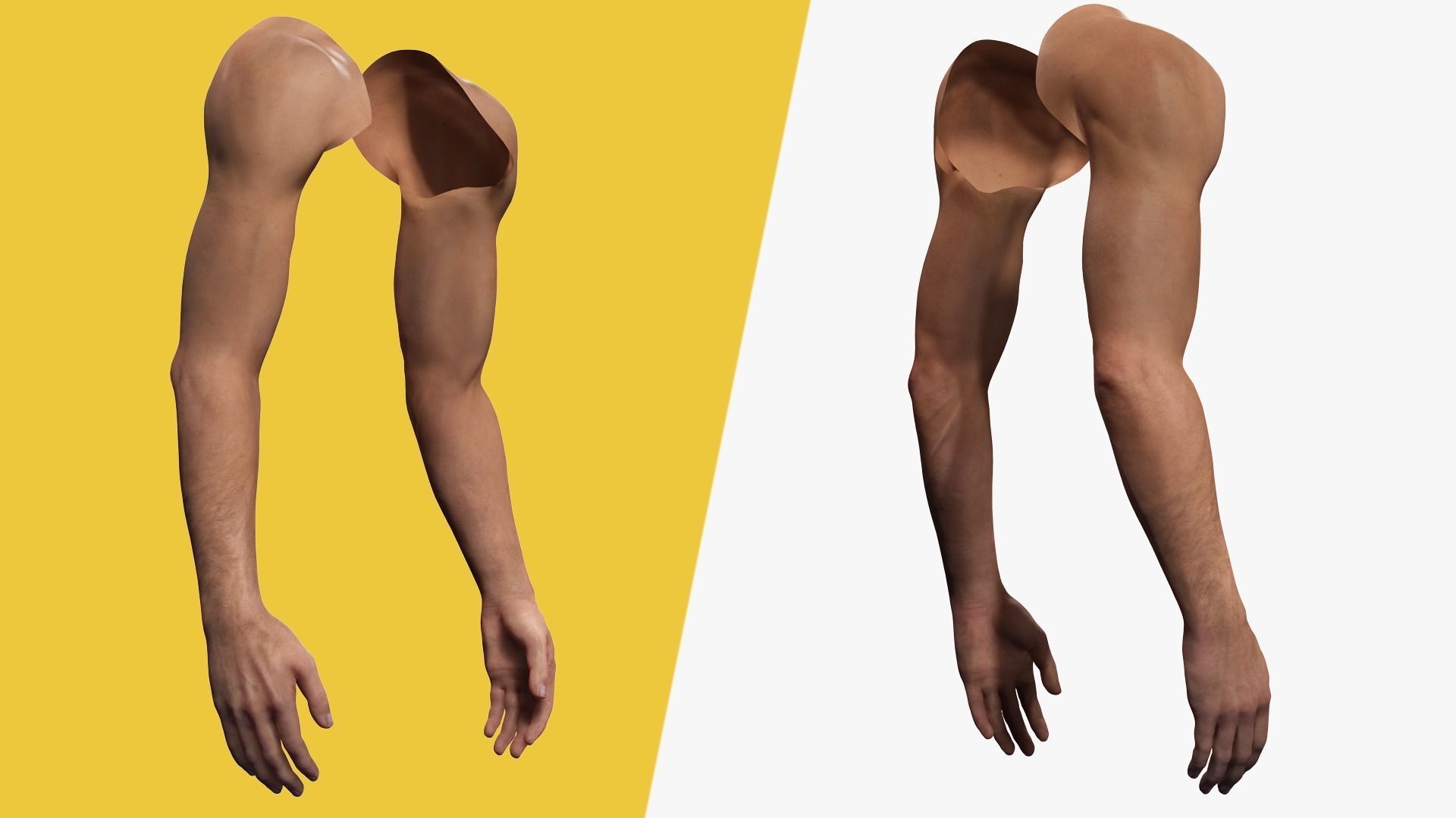 VR 4K Realistic Hands Multi-Skins Colors Rigged HQ Low-poly 3D model_12
