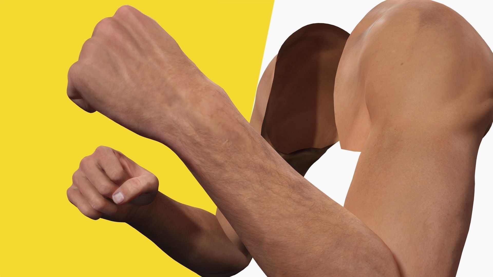 VR 4K Realistic Hands Multi-Skins Colors Rigged HQ Low-poly 3D model_9