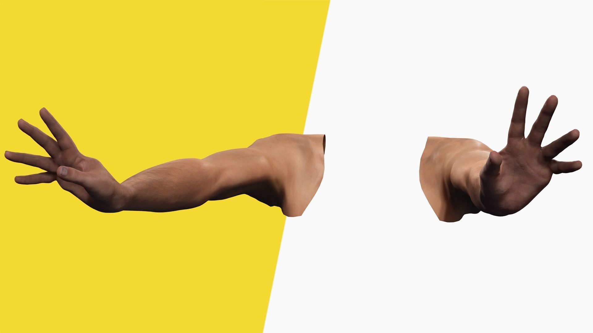 VR 4K Realistic Hands Multi-Skins Colors Rigged HQ Low-poly 3D model_5
