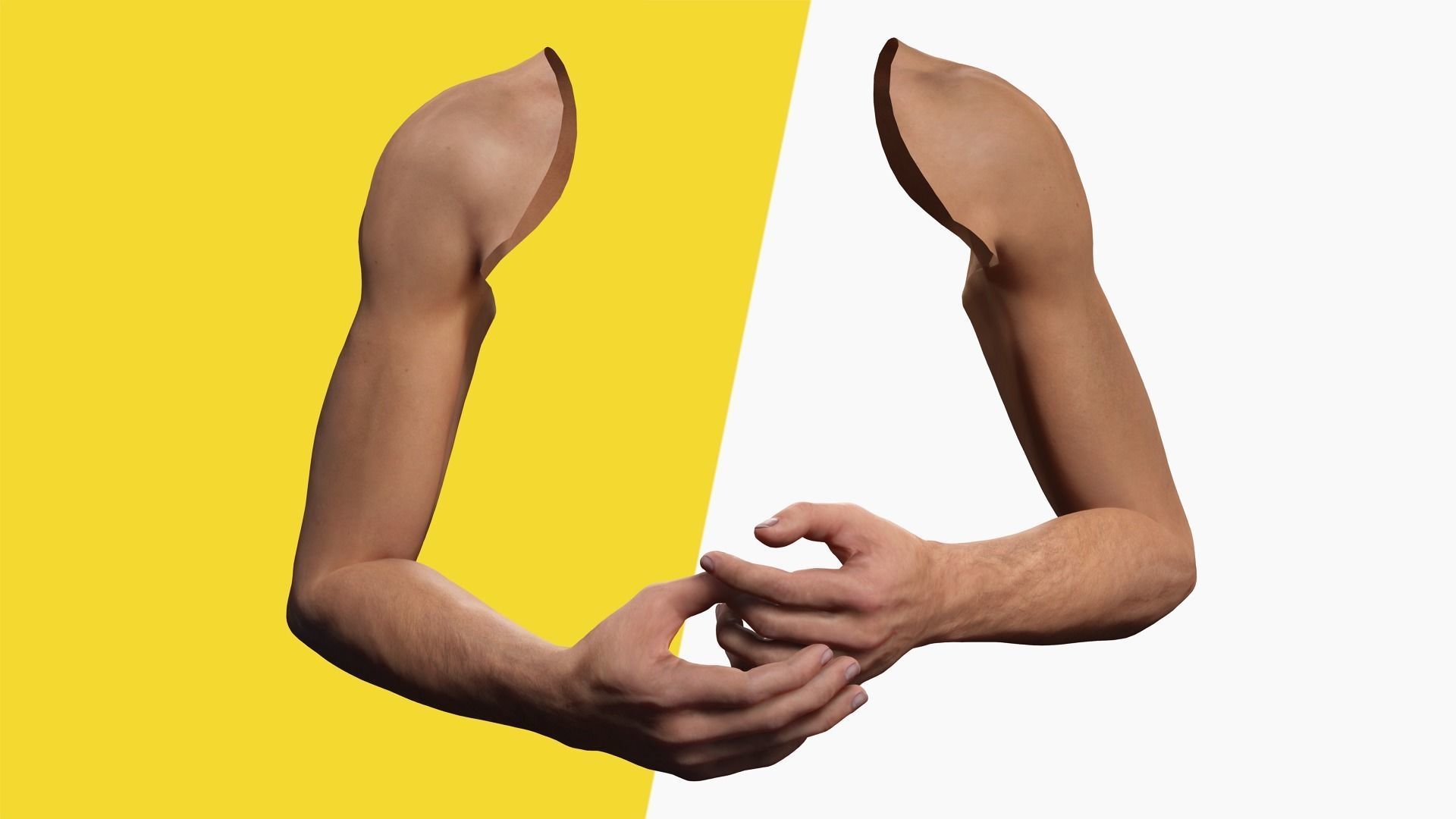 VR 4K Realistic Hands Multi-Skins Colors Rigged HQ Low-poly 3D model_7