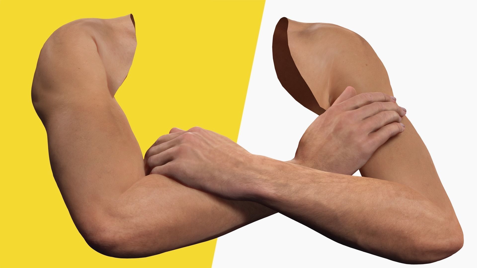VR 4K Realistic Hands Multi-Skins Colors Rigged HQ Low-poly 3D model_6