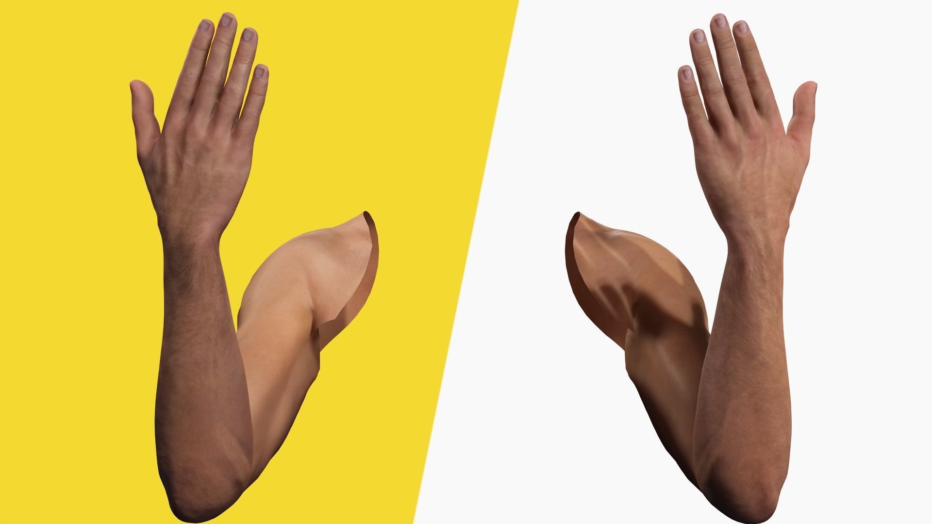 VR 4K Realistic Hands Multi-Skins Colors Rigged HQ Low-poly 3D model_10