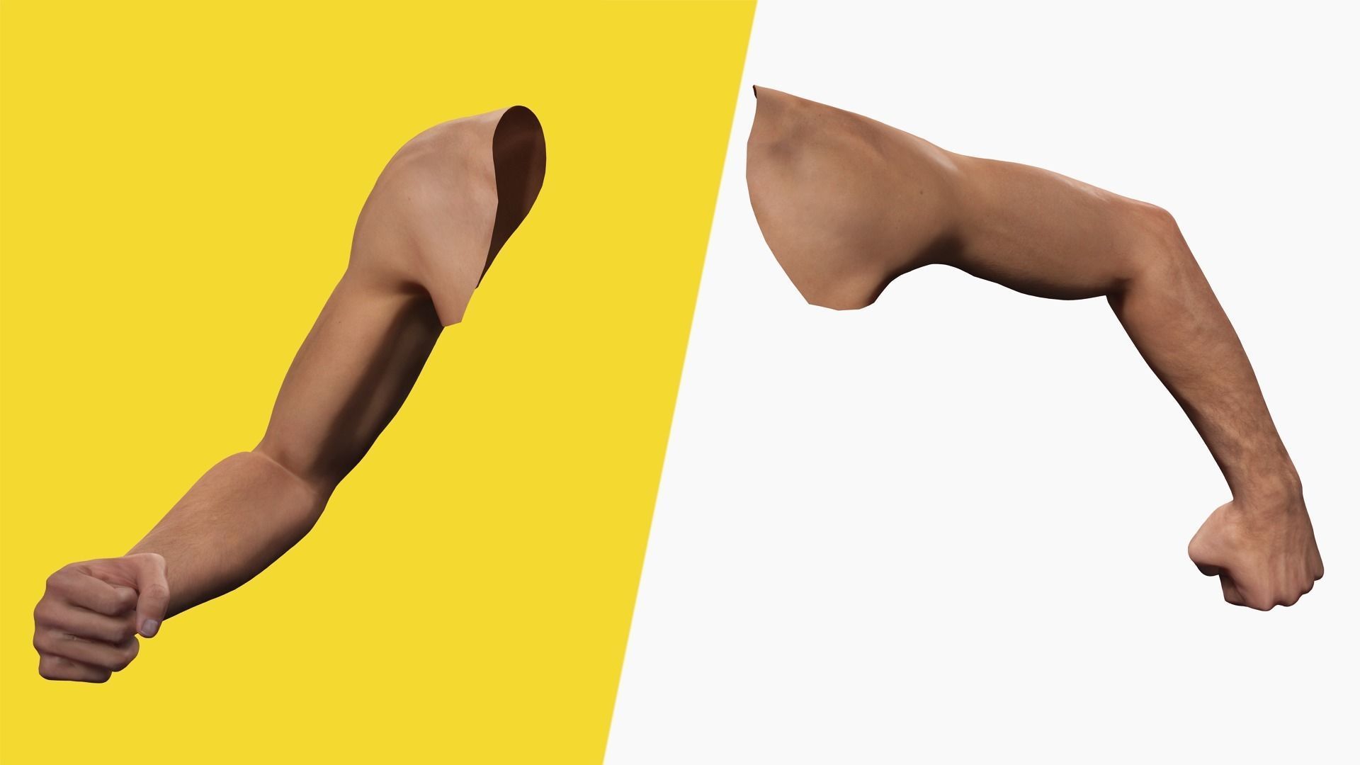 VR 4K Realistic Hands Multi-Skins Colors Rigged HQ Low-poly 3D model_8