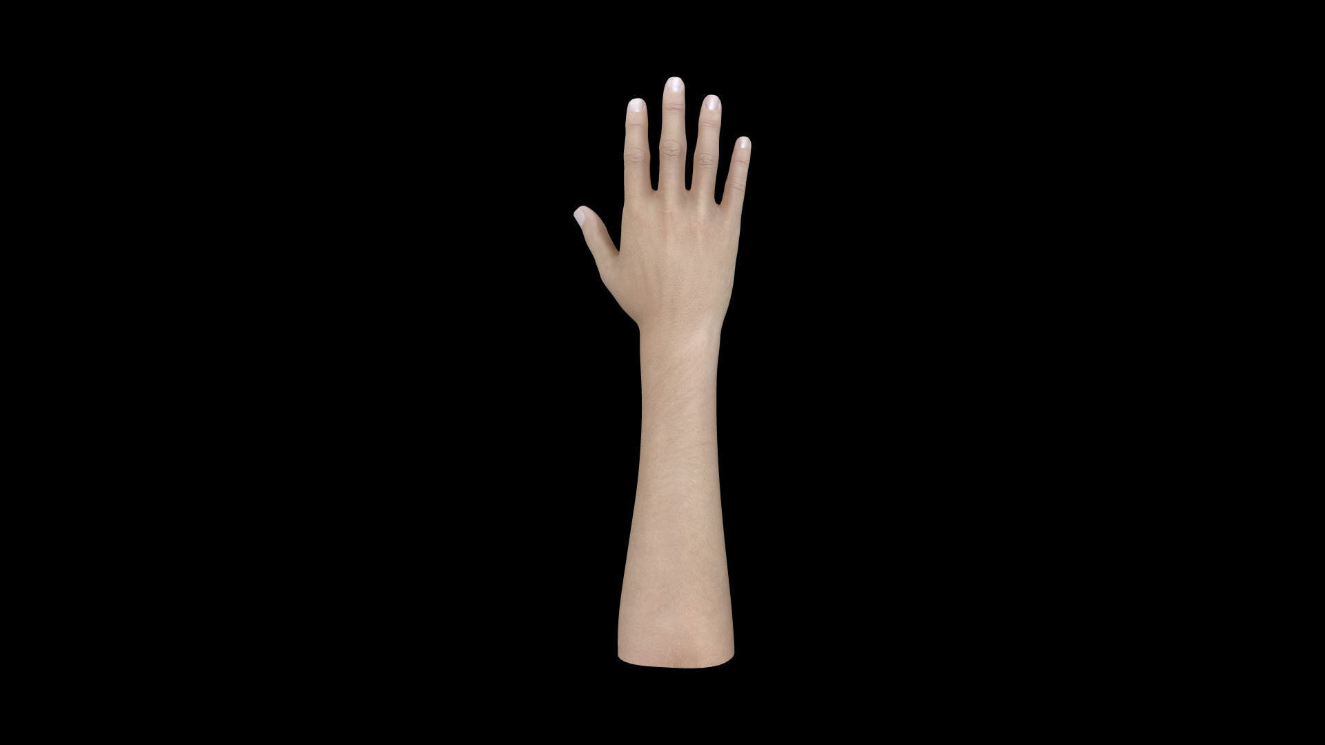 HAND07 Rigged Right Hand 3D model_5