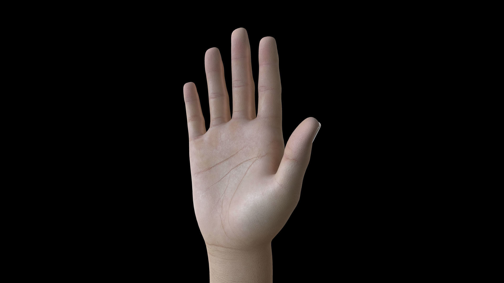 HAND07 Rigged Right Hand 3D model_3