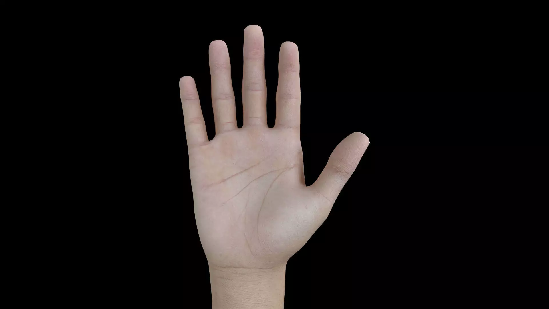 HAND07 Rigged Right Hand 3D model_0