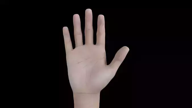 HAND07 Rigged Right Hand 3D model