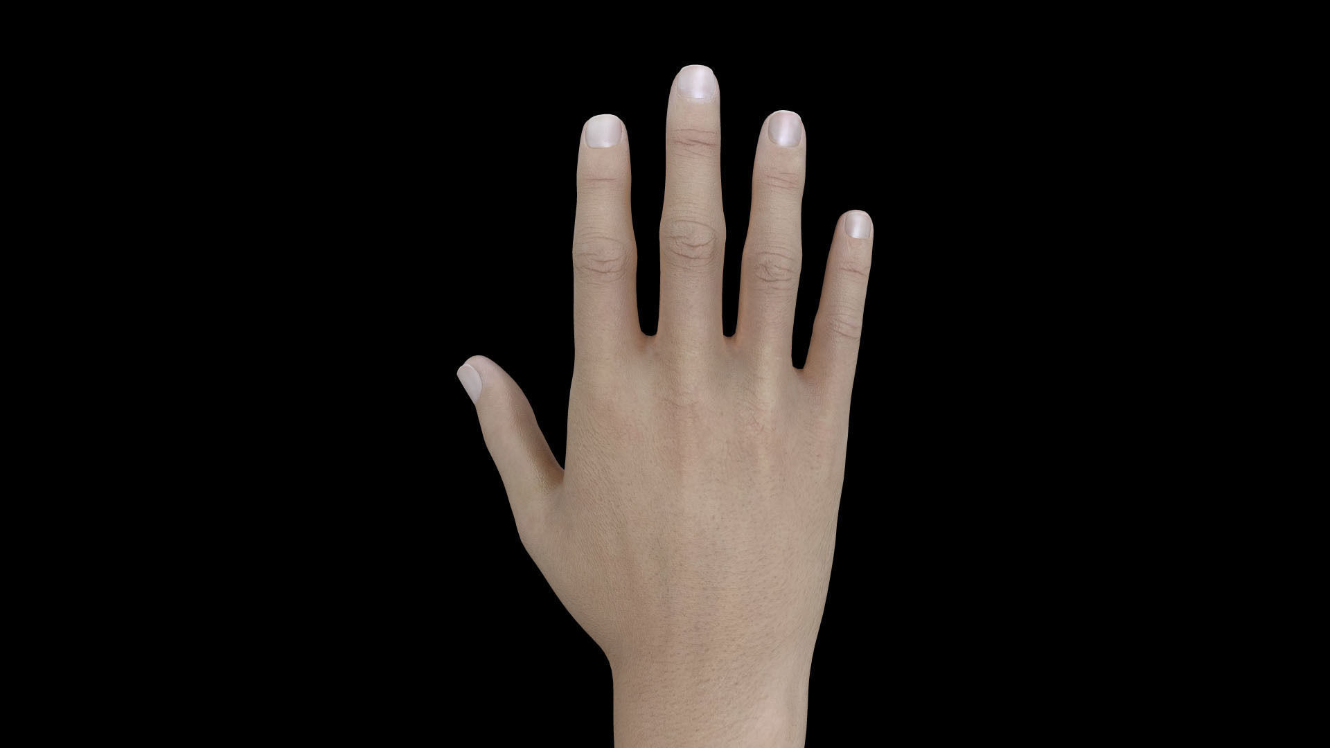 HAND07 Rigged Right Hand 3D model_2