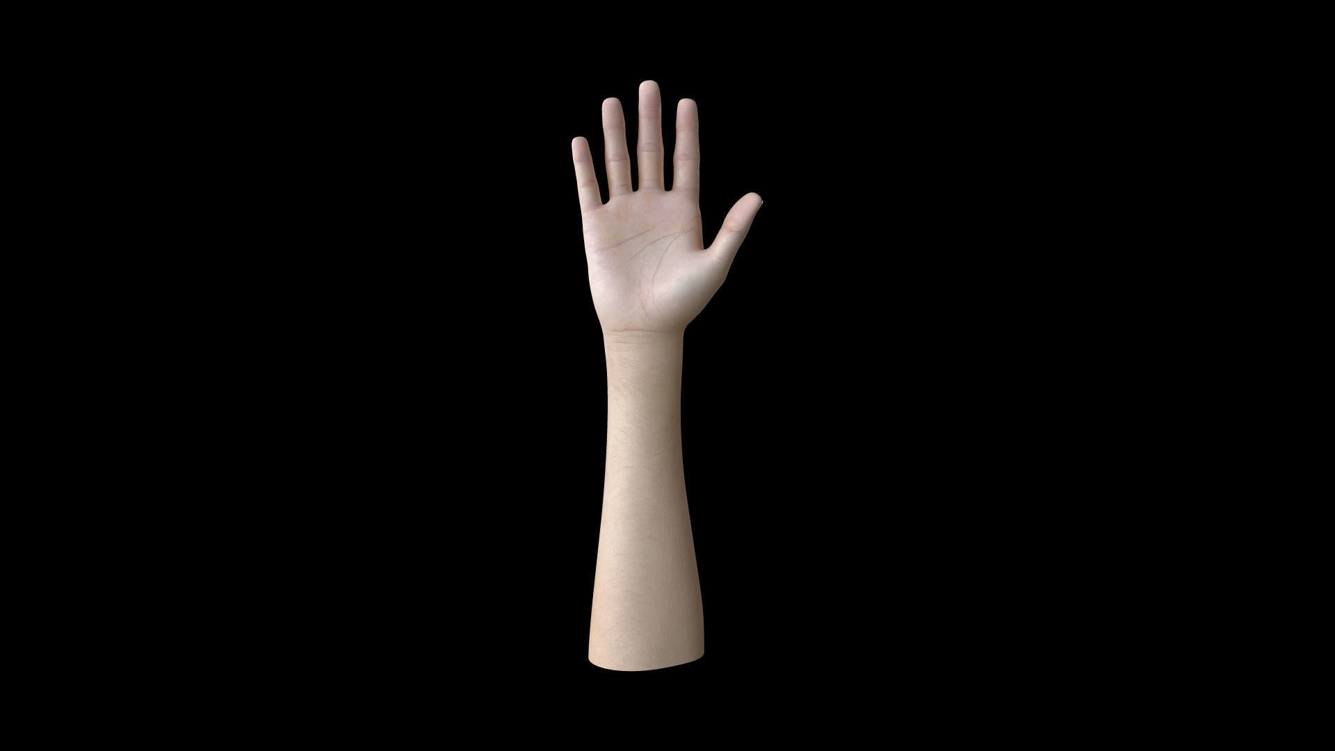 HAND07 Rigged Right Hand 3D model_4