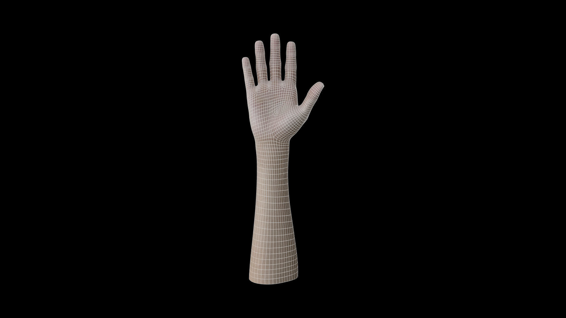 HAND07 Rigged Right Hand 3D model_6