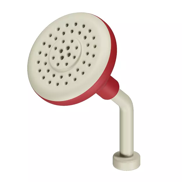 Elegant Plastic ShowerHead 3D model_0