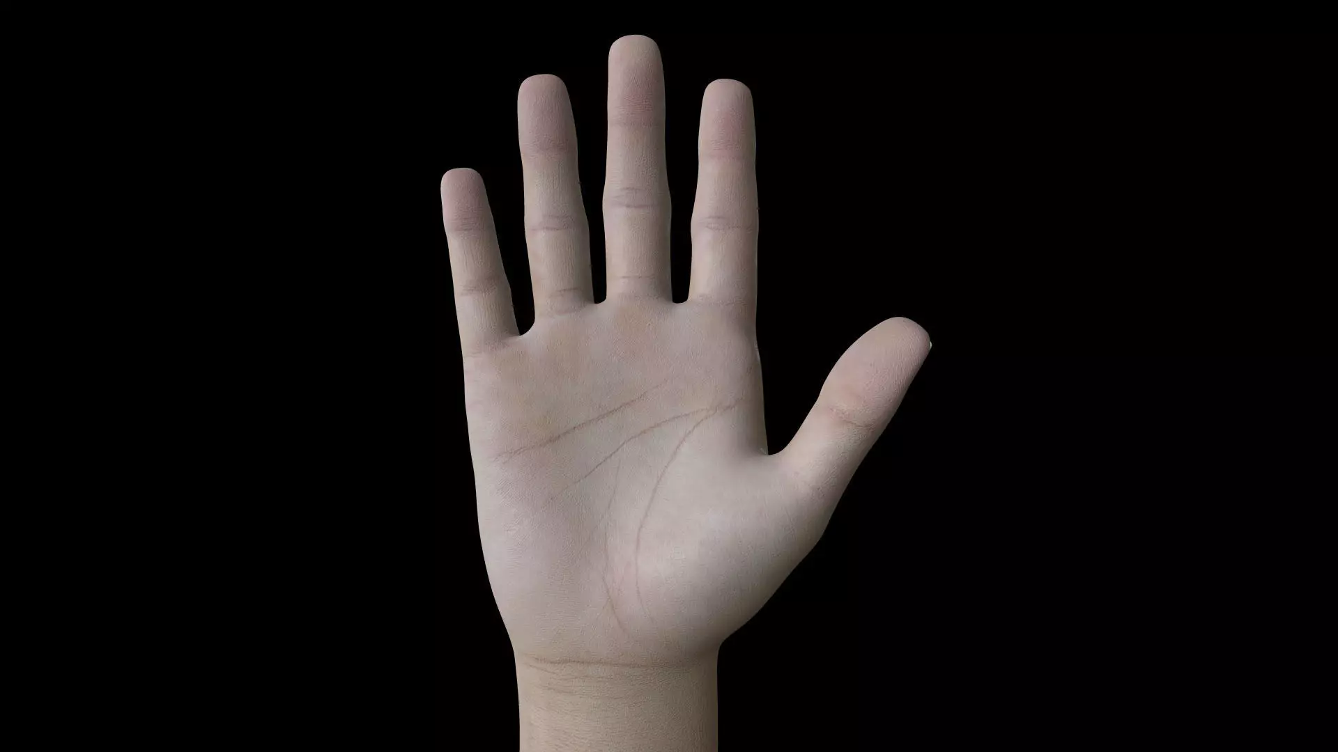 HAND08 Rigged Right Hand 3D model_0