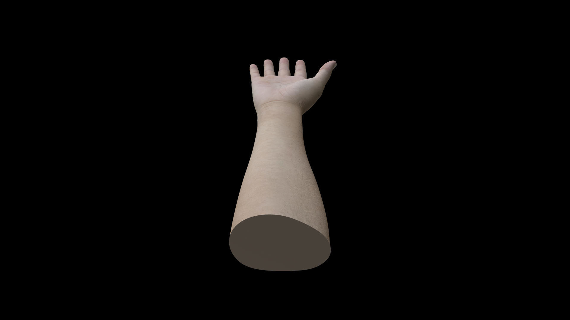 HAND08 Rigged Right Hand 3D model_5