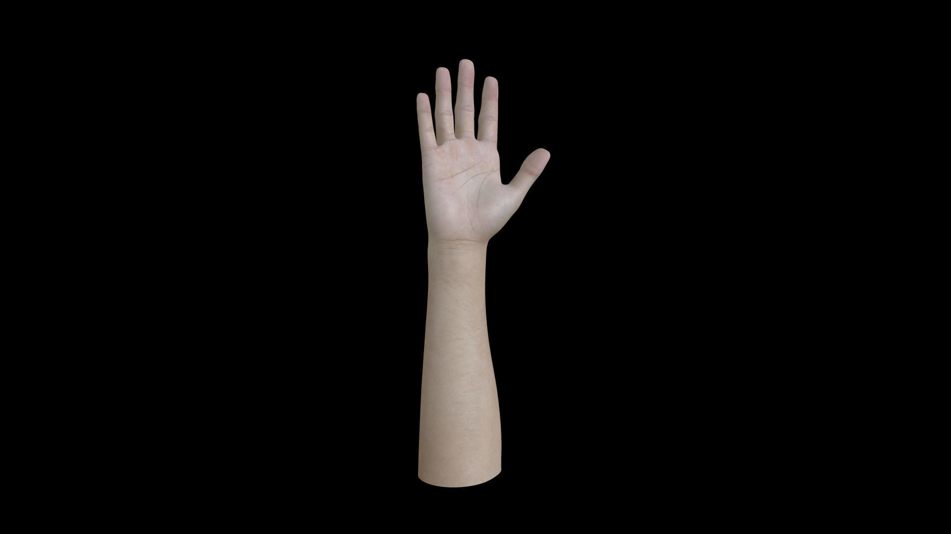 HAND08 Rigged Right Hand 3D model_3