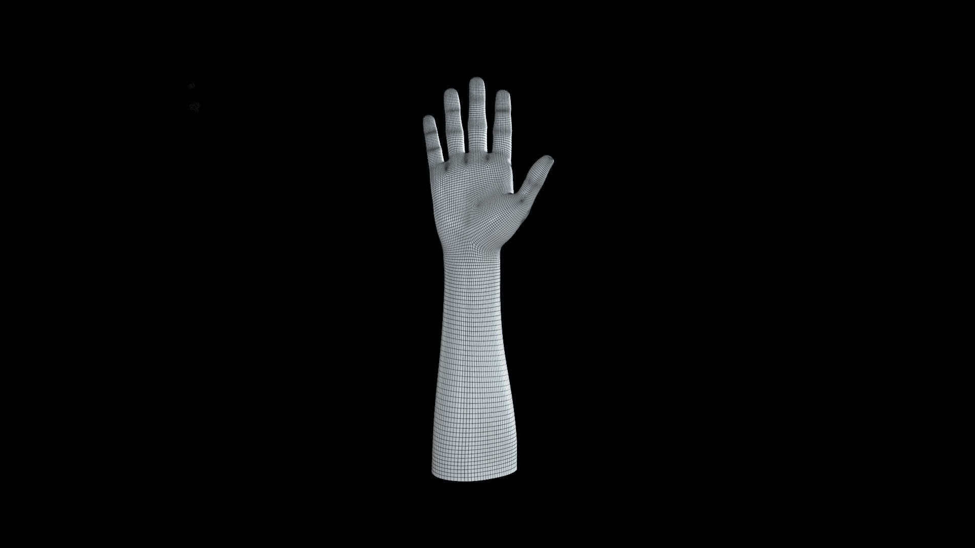 HAND08 Rigged Right Hand 3D model_6