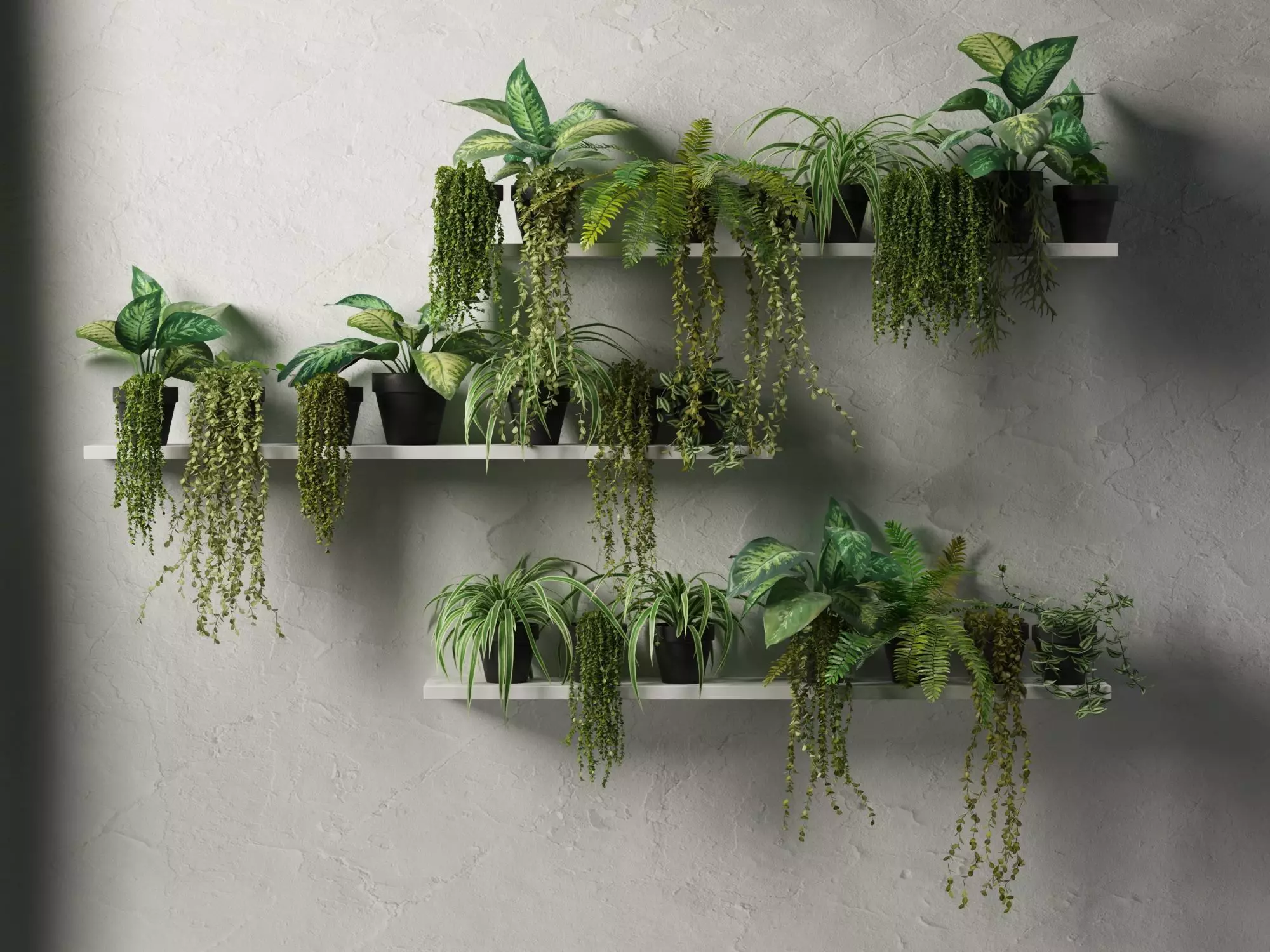 Shelves with Plants 2 3D model