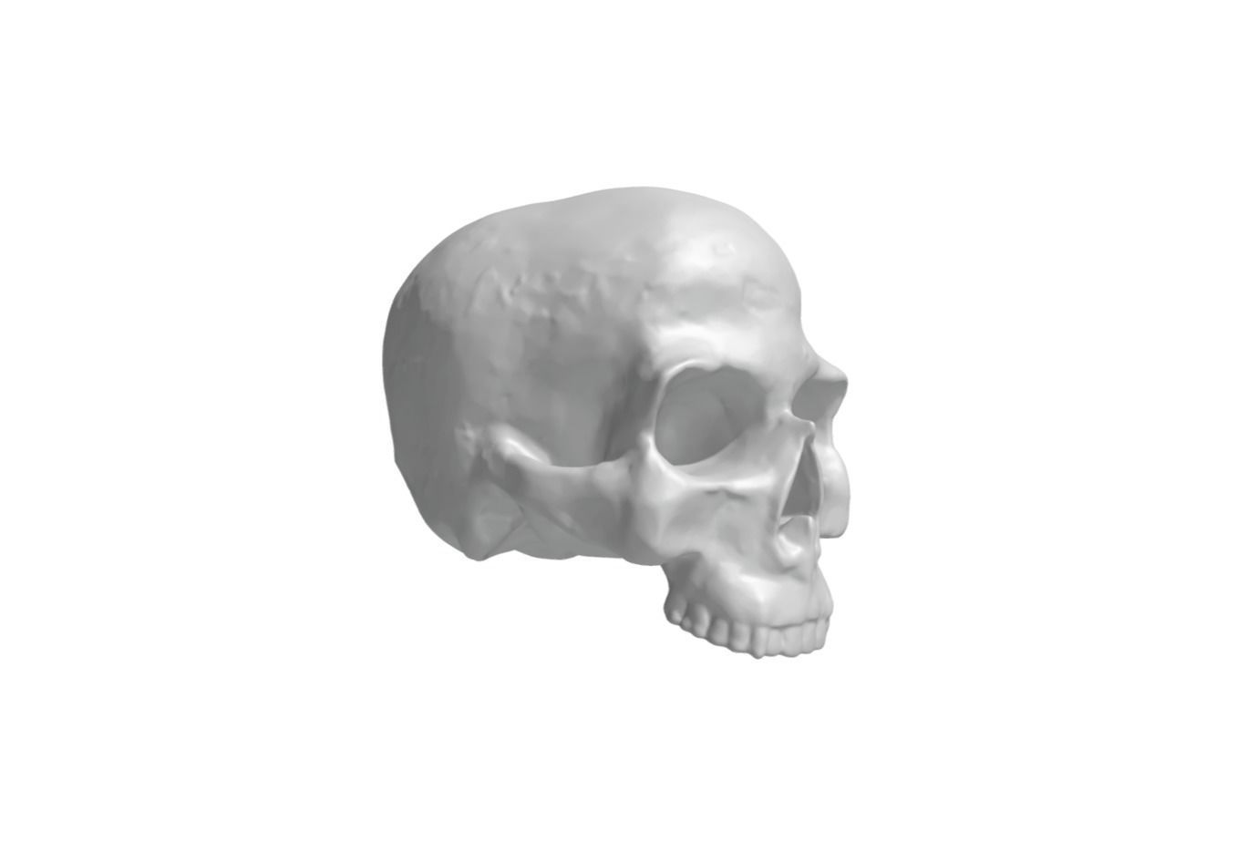 Skull 3D print model_1