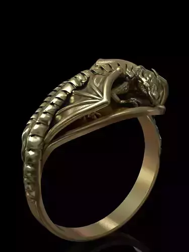 ring dragon lizard