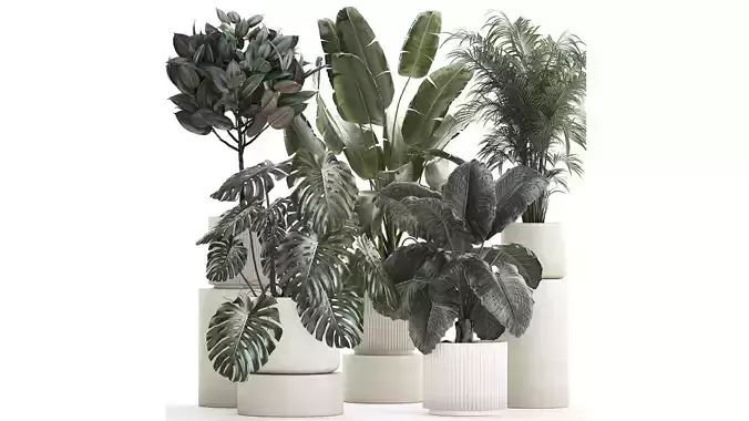 Set of beautiful plants in a flower pot for home 1293 3D model