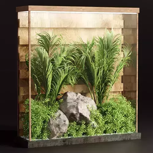 Indoor plants behind glass vol 211