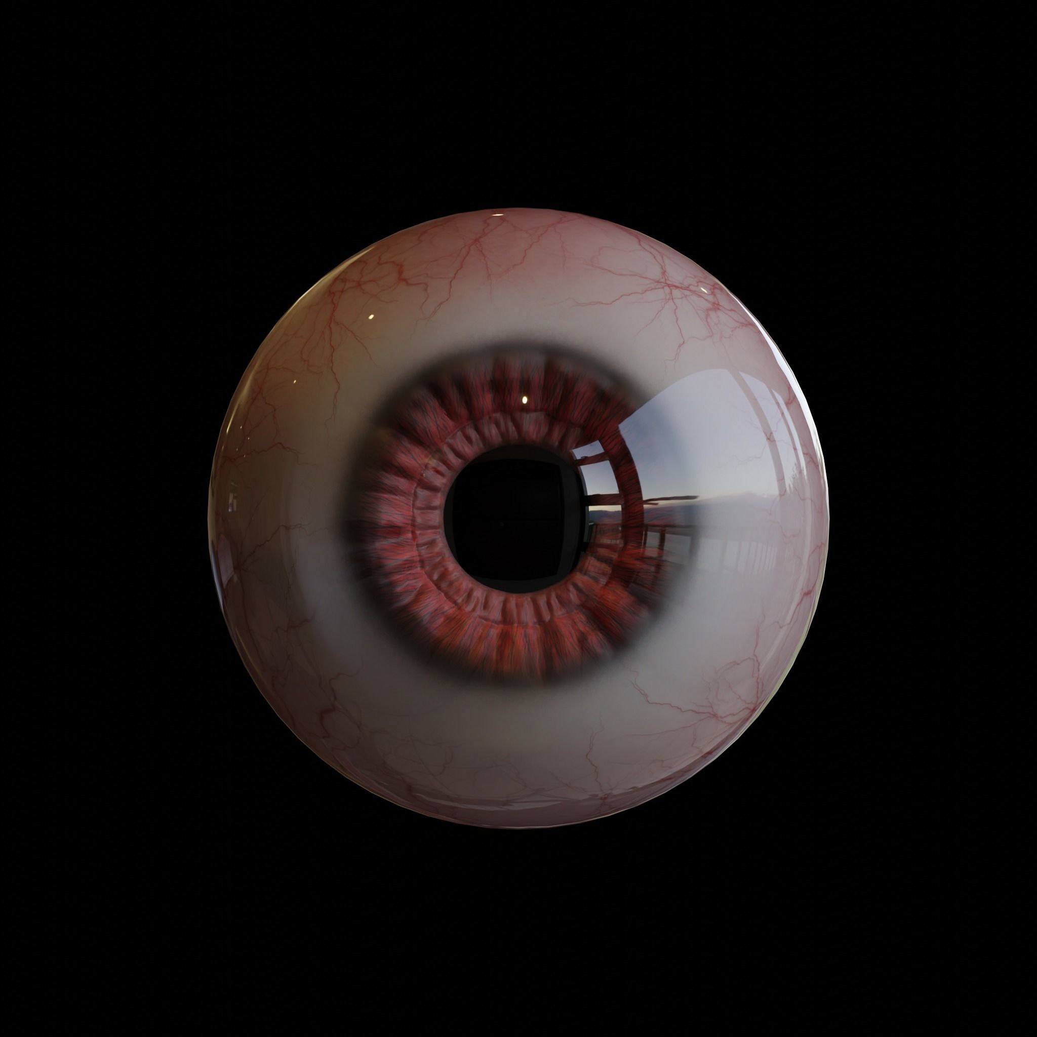 Realistic 3D Eye Model-Editable Iris Sculpt and Texture Maps 3D model_5