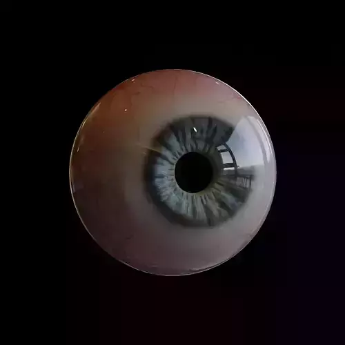 Realistic 3D Eye Model-Editable Iris Sculpt and Texture Maps 3D model