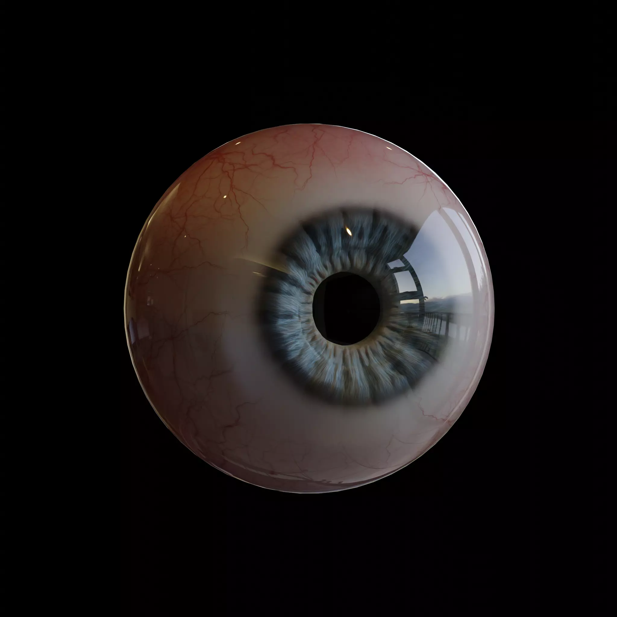 Realistic 3D Eye Model-Editable Iris Sculpt and Texture Maps 3D model_0