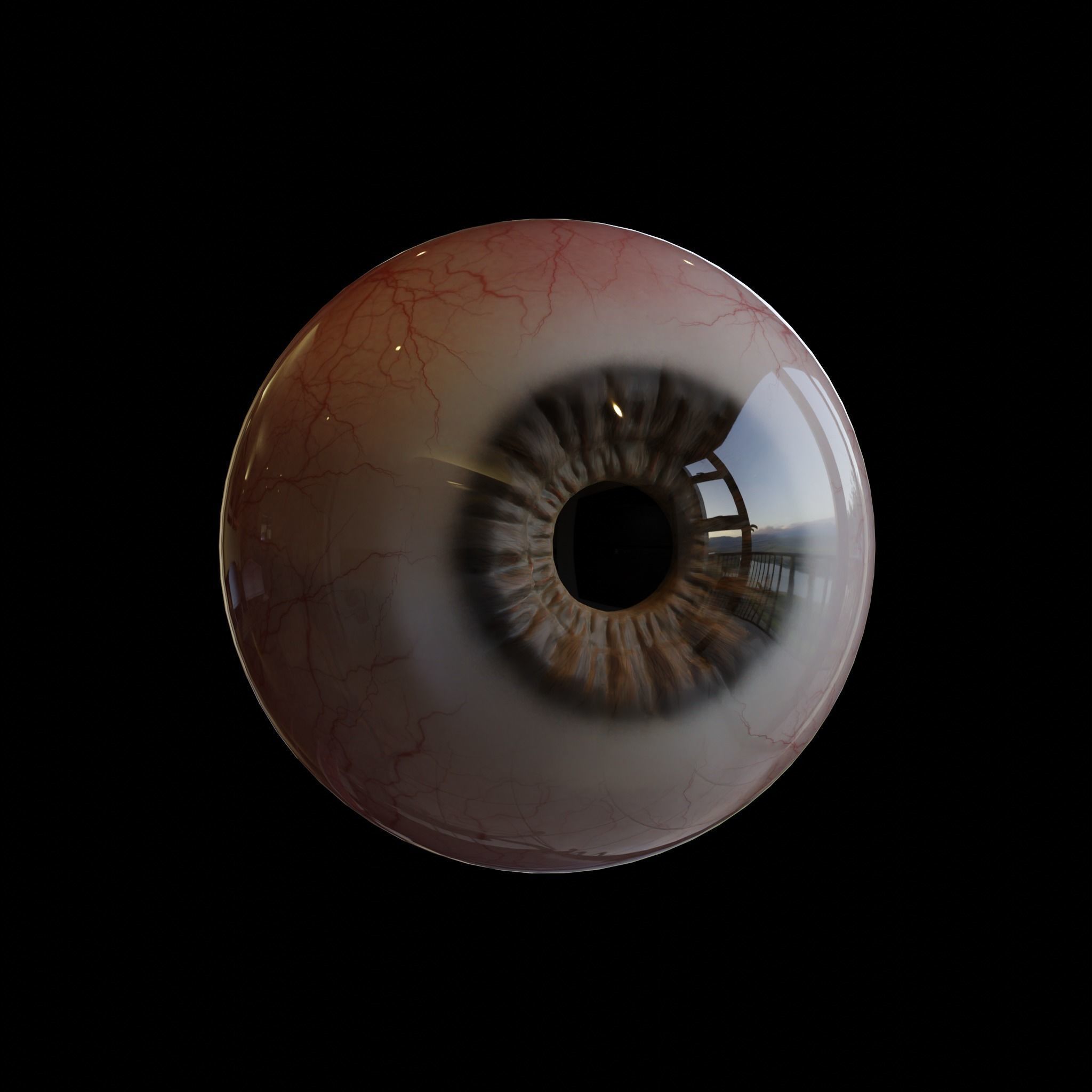 Realistic 3D Eye Model-Editable Iris Sculpt and Texture Maps 3D model_3