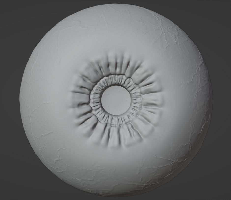 Realistic 3D Eye Model-Editable Iris Sculpt and Texture Maps 3D model_6